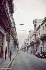 dsc 1372 edit20111128