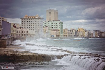 dsc 1969 edit20111130