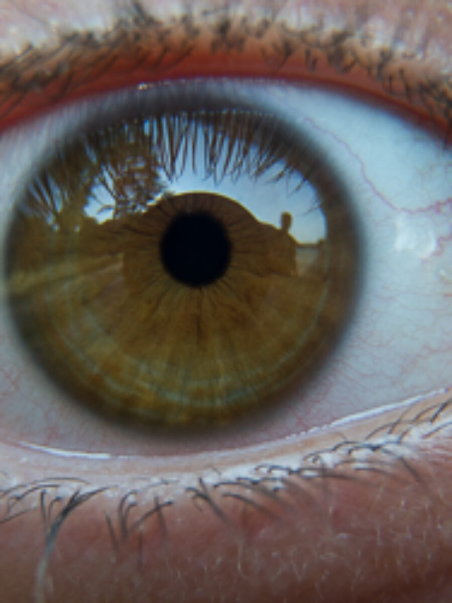 sektakl, przedstawienie, widze