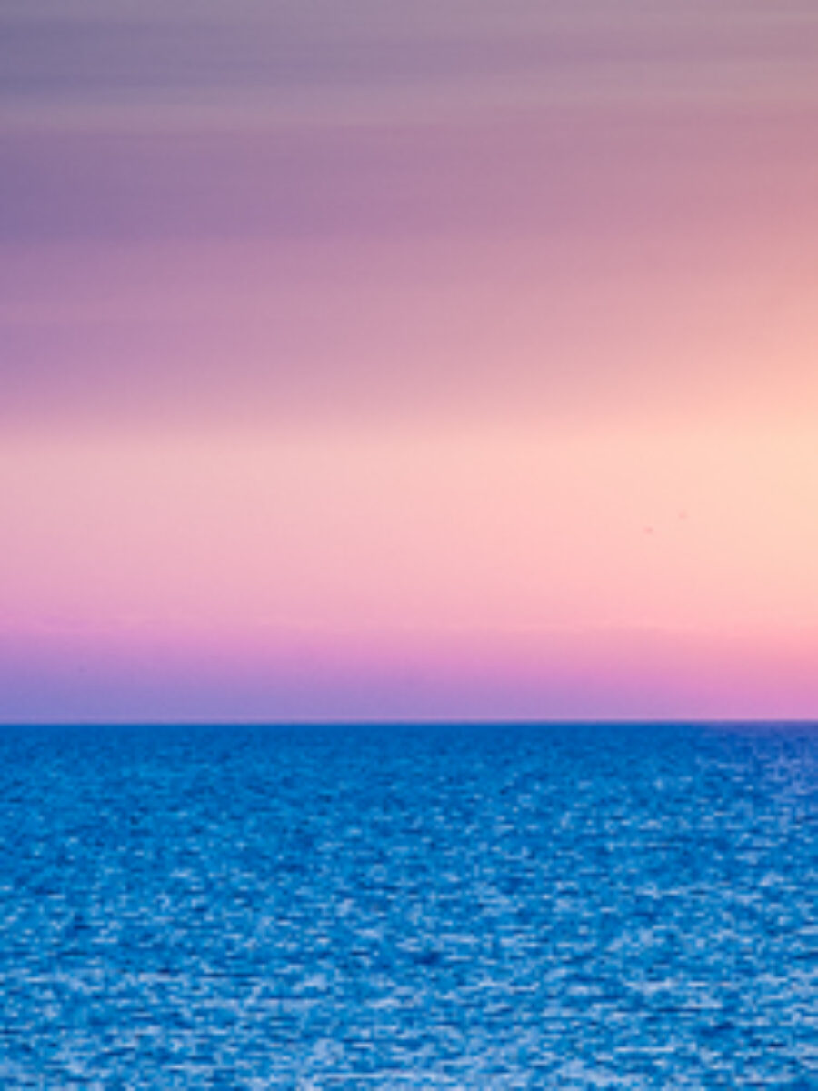 wiersz,w ogrod,spojrzenie,wschod slonca,chicago,dlaczego,poszukiwanie