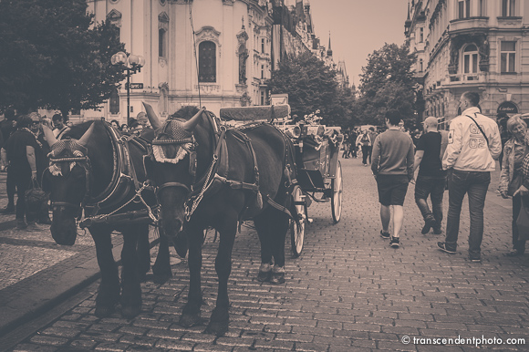 Zaczarowana dorożka