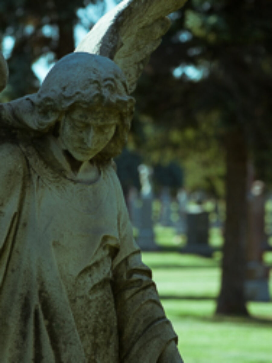 Odszedł Stanisław Barańczak