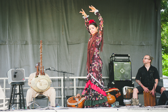 Ethnic Arts Festival Evanston 2015