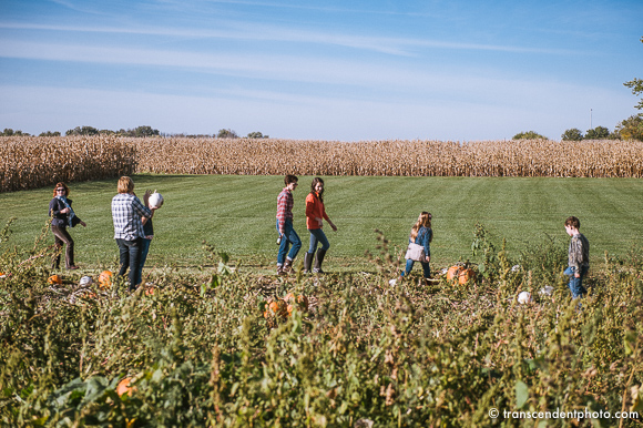 Pumpkin Patch