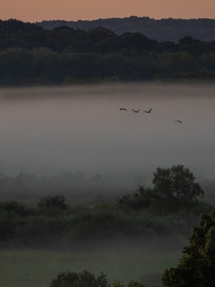 za chwilę dalszy ciąg programu