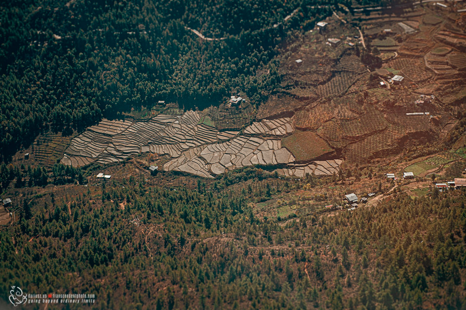 Bhutan ryżowe pola