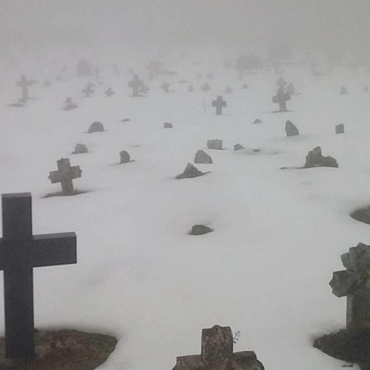 Zaśnieżony cmentarz we mgle