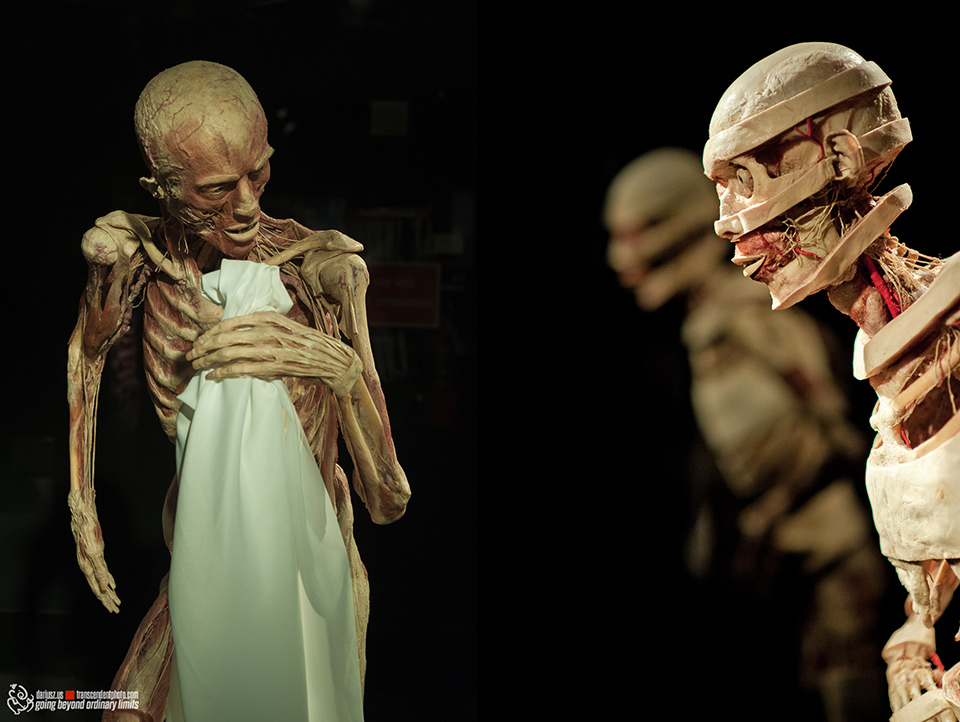 Gunther von Hagens - Body Worlds, USA