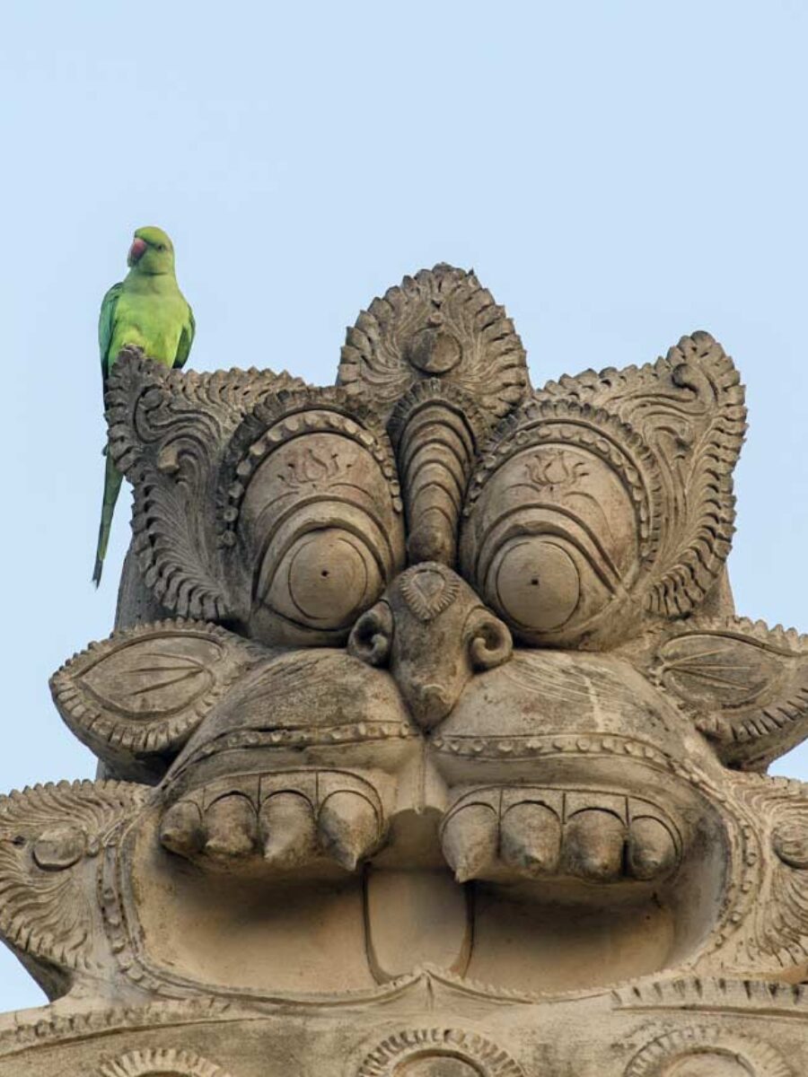 kirthimukka nad wejsciem do swiatyni