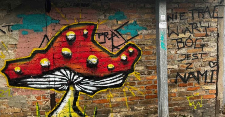 Białystok 2024, mural z grzybkiem