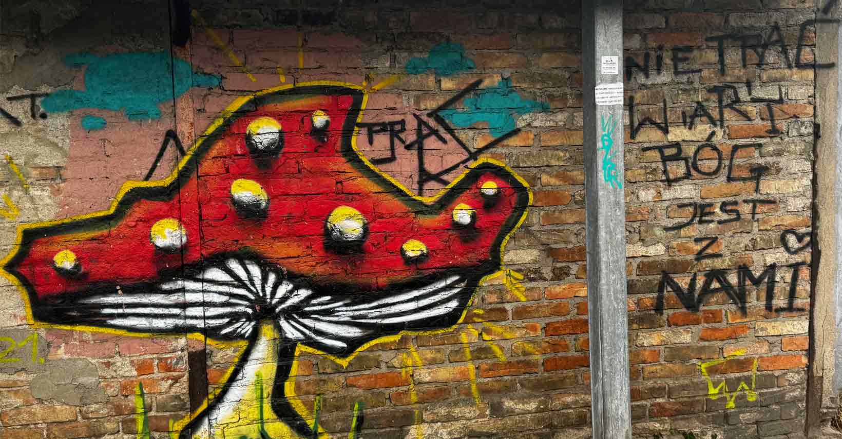 Białystok 2024, mural z grzybkiem