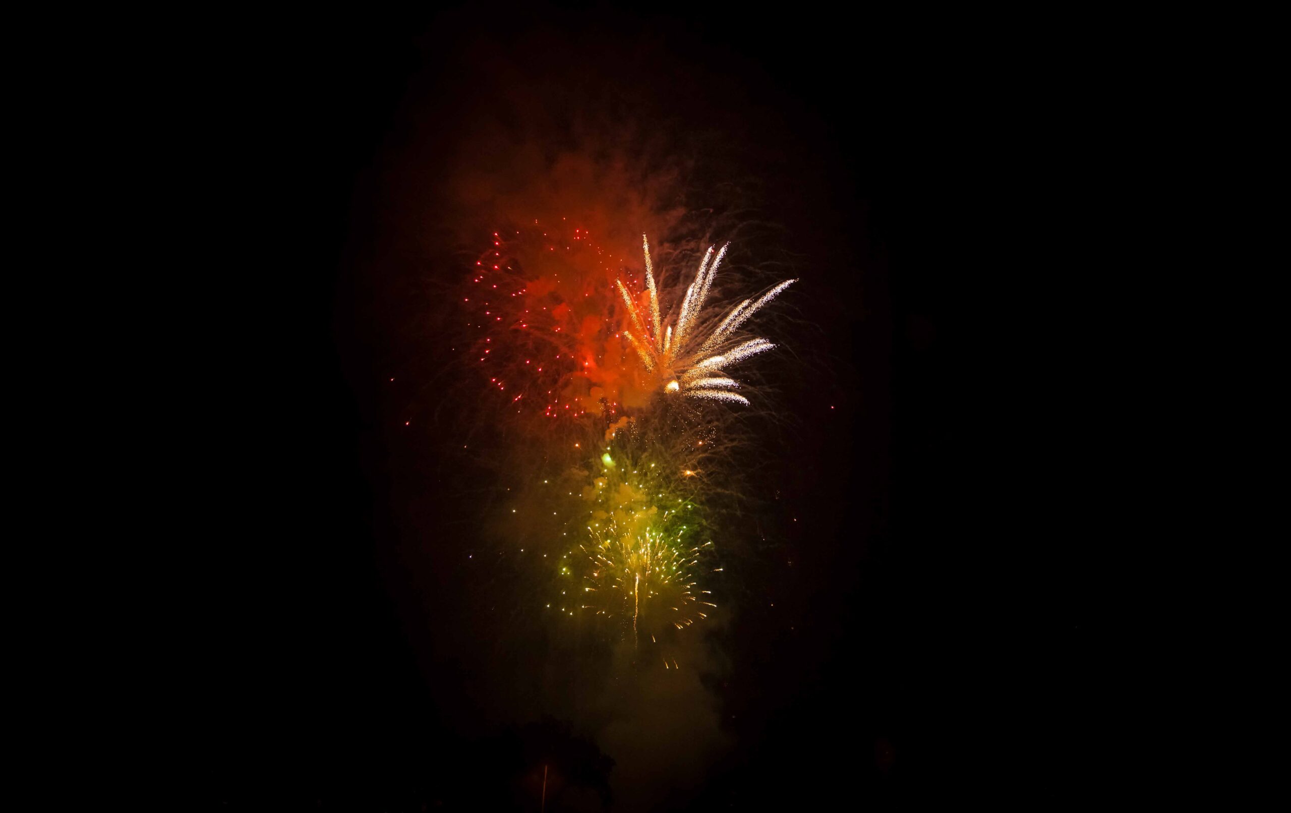 Colorful fireworks bursts light up the dark night sky.