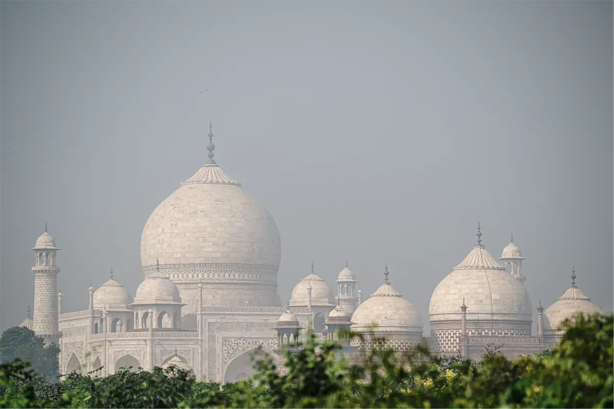 Taj Mahal's white marble domes and minarets through green foliage.