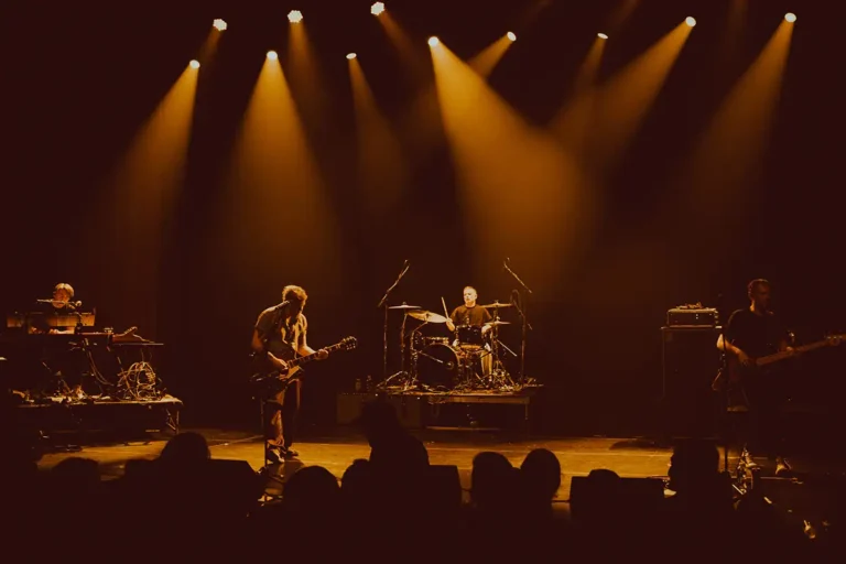 Organek Band performing on stage under warm spotlights with audience silhouettes.